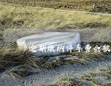 逾期缴纳停车费会被罚款么