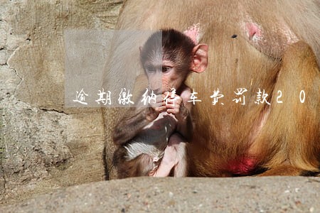 逾期缴纳停车费罚款200元 逾期缴纳停车费罚款200元