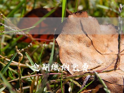 逾期缴纳党费