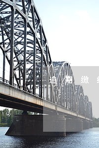 逾期缴纳党费处理办法 逾期缴纳党费处理办法