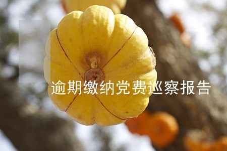 逾期缴纳党费巡察报告 逾期缴纳党费巡察报告