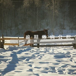 逾期缴纳公积金会怎么样 逾期缴纳公积金会怎么样