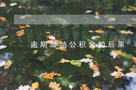 逾期缴纳公积金的后果 逾期缴纳公积金的后果