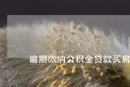 逾期缴纳公积金贷款买房吗 逾期缴纳公积金贷款买房吗