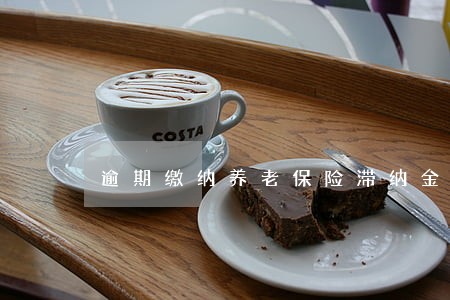 逾期缴纳养老保险滞纳金