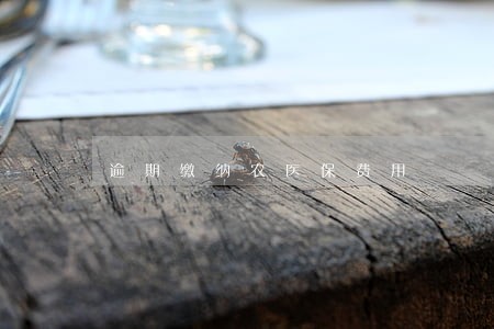 逾期缴纳农医保费用 逾期缴纳农医保费用
