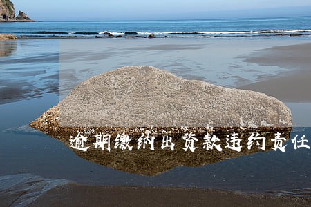 逾期缴纳出资款违约责任 逾期缴纳出资款违约责任