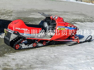 逾期缴纳出资股份核减
