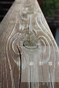 逾期缴纳判决 逾期缴纳判决