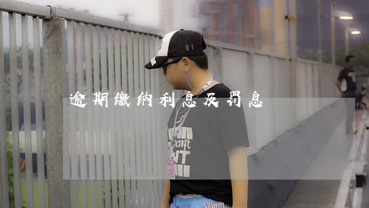 逾期缴纳利息及罚息 逾期缴纳利息及罚息
