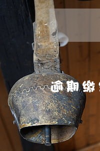 逾期缴纳园区管理费情况说明 逾期缴纳园区管理费情况说明