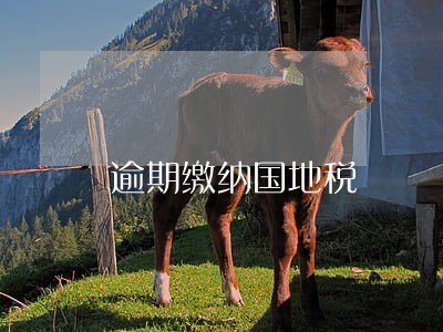 逾期缴纳国地税 逾期缴纳国地税