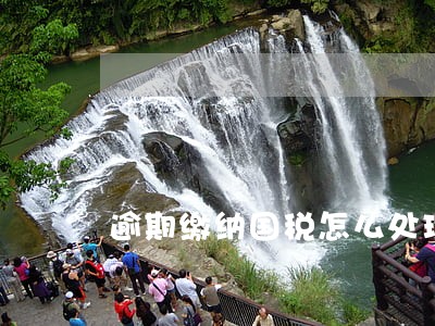 逾期缴纳国税怎么处理