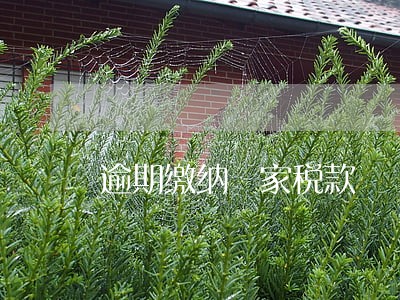 逾期缴纳國家税款
