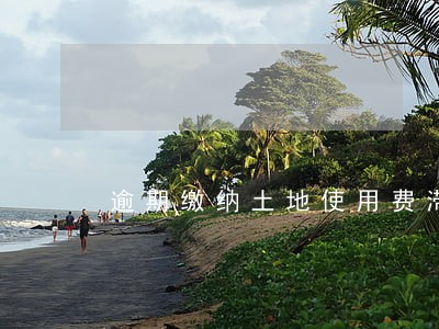 逾期缴纳土地使用费滞纳金