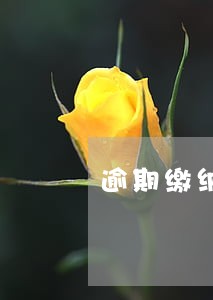 逾期缴纳土地出让价款 逾期缴纳土地出让价款