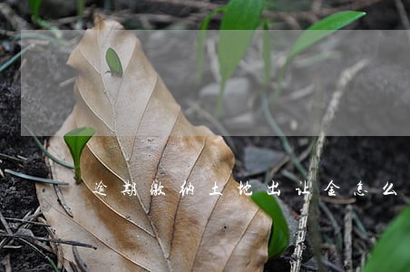 逾期缴纳土地出让金怎么处理