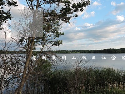 逾期缴纳土地出让金的处罚措施 逾期缴纳土地出让金的处罚措施