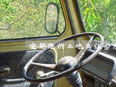 逾期缴纳土地出让金规定 逾期缴纳土地出让金规定