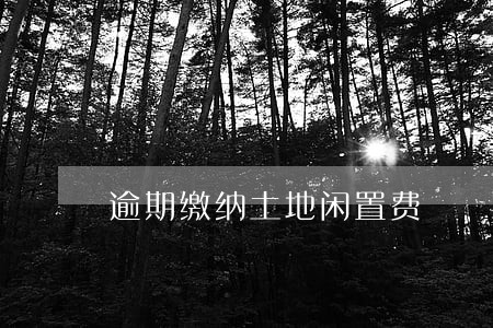 逾期缴纳土地闲置费 逾期缴纳土地闲置费