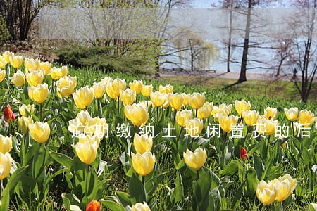 逾期缴纳土地闲置费的后果 逾期缴纳土地闲置费的后果