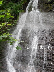 逾期缴纳增值税抵扣留抵 逾期缴纳增值税抵扣留抵