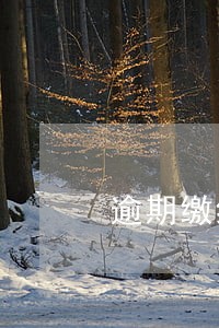 逾期缴纳增值税滞纳金有什么后果