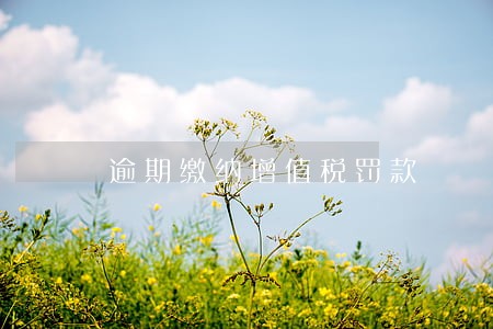 逾期缴纳增值税罚款 逾期缴纳增值税罚款