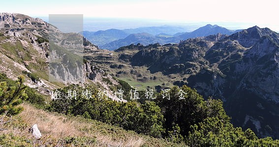逾期缴纳增值税罚金 逾期缴纳增值税罚金
