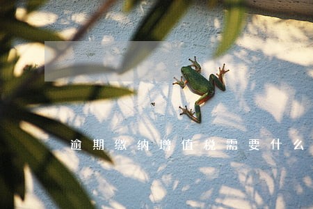 逾期缴纳增值税需要什么资料 逾期缴纳增值税需要什么资料