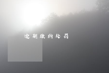 逾期缴纳处罚 逾期缴纳处罚