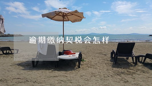 逾期缴纳契税会怎样 逾期缴纳契税会怎样