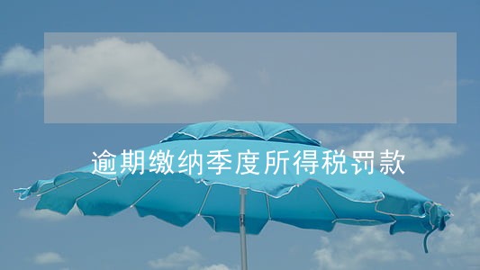 逾期缴纳季度所得税罚款 逾期缴纳季度所得税罚款