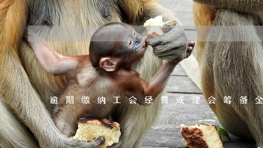 逾期缴纳工会经费或建会筹备金 逾期缴纳工会经费或建会筹备金