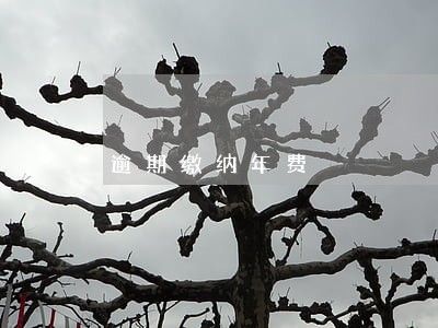 逾期缴纳年费 逾期缴纳年费