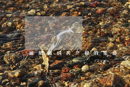 逾期缴纳房产税的渠道