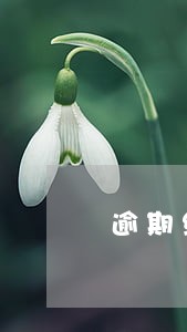 逾期缴纳房租支持解除合