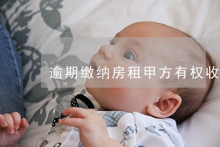 逾期缴纳房租甲方有权收回房租