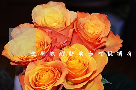 逾期缴纳新农合对报销有什么影响