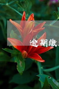 逾期缴纳新农合有报销等待期吗