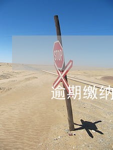 逾期缴纳是征管法多少条