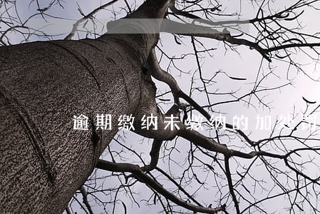 逾期缴纳未缴纳的加处罚款
