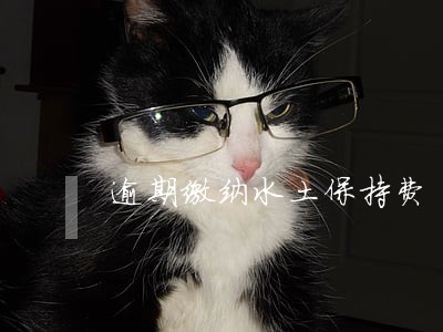 逾期缴纳水土保持费