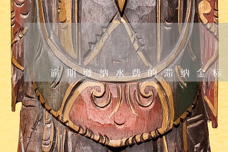 逾期缴纳水费的滞纳金标准是什么