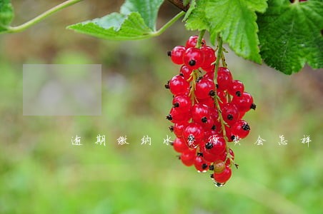 逾期缴纳水资源费会怎样 逾期缴纳水资源费会怎样