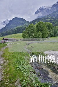 逾期缴纳汽车违章 逾期缴纳汽车违章