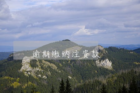 逾期缴纳注资款 逾期缴纳注资款