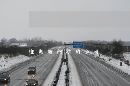 逾期缴纳滞纳金吗 逾期缴纳滞纳金吗