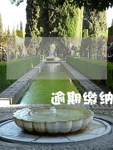 逾期缴纳滞纳金对公司有影响吗 逾期缴纳滞纳金对公司有影响吗
