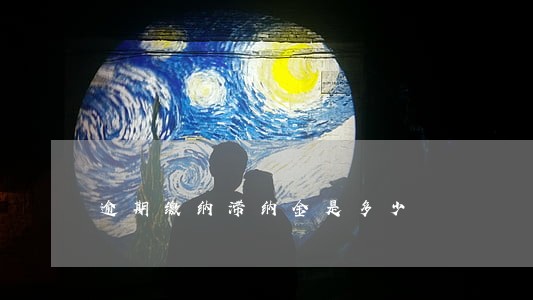 逾期缴纳滞纳金是多少 逾期缴纳滞纳金是多少
